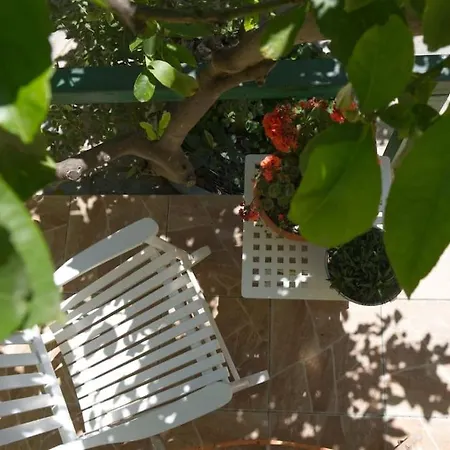 Apartamento Colorful With Garden *